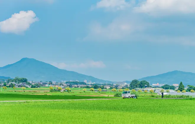農地・山林の境界確定測量って費用が高くて困っている。。